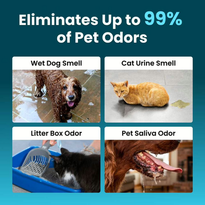 BILLHOL® 🔥Advanced Pet Odor Eliminator– Destroy Tough Pet Smells In Under 24 Hours & Keep Your Home Fresh Longer
