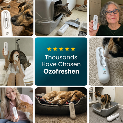 BILLHOL® 🔥Advanced Pet Odor Eliminator– Destroy Tough Pet Smells In Under 24 Hours & Keep Your Home Fresh Longer